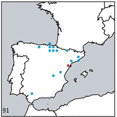 mediumimage/graellsia-78-1-e157-image91.png