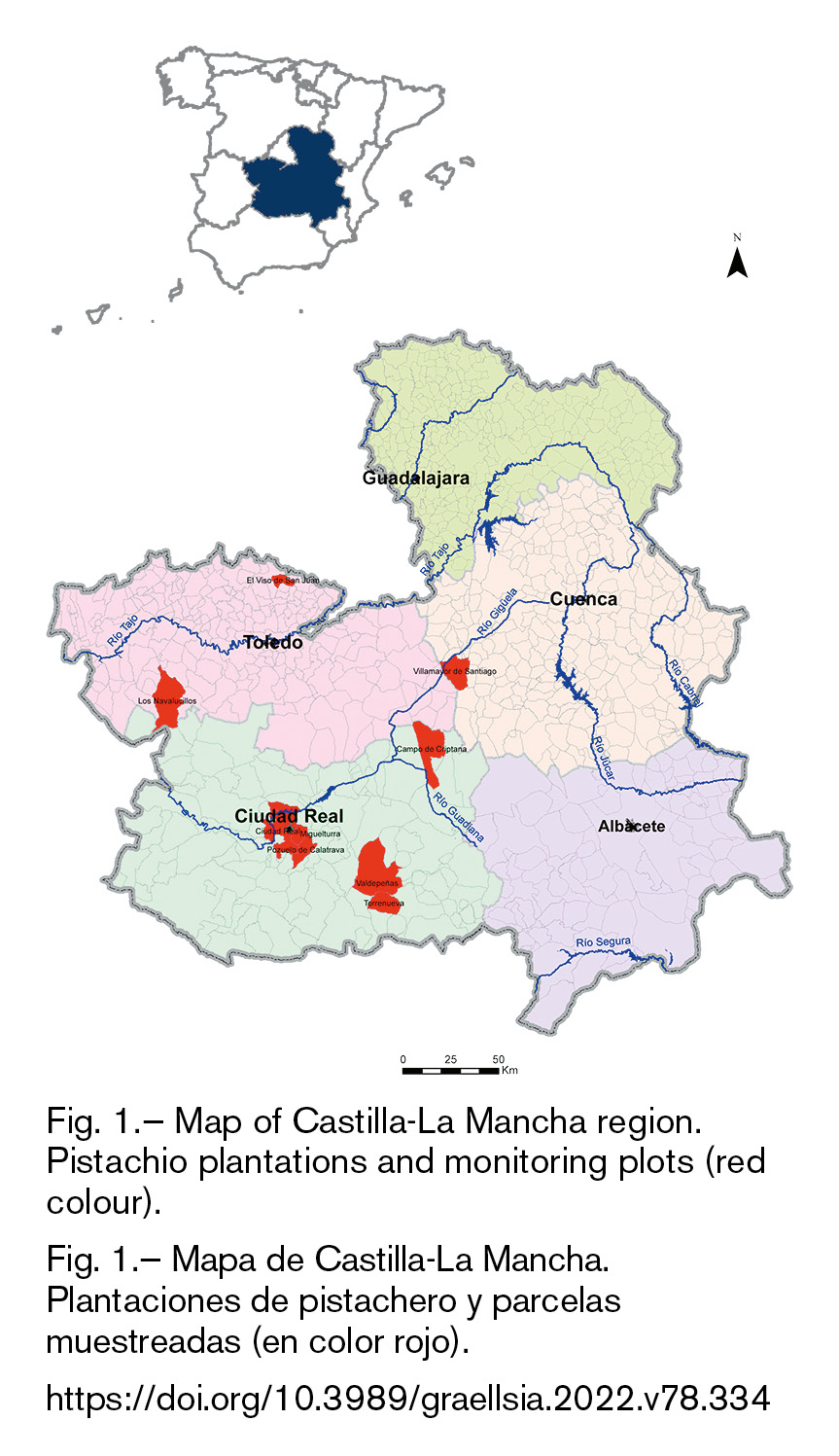 mediumimage/graellsia-78-2-e168-image1.png