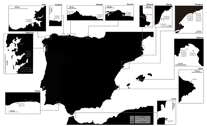 mediumimage/graellsia-78-2-e177-image1.png