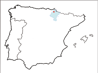 mediumimage/graellsia-79-1-e182-image1a.png