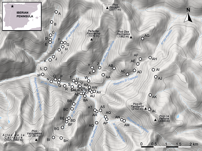 mediumimage/graellsia-79-1-e189-image1a.png