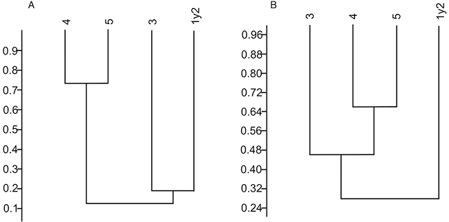 mediumimage/graellsia-79-2-e195-image2.png