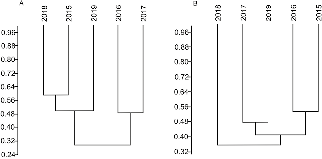 mediumimage/graellsia-79-2-e195-image3.png