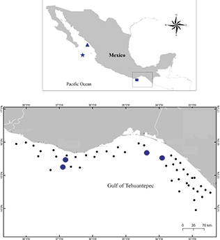 mediumimage/graellsia-79-2-e199-image1.png