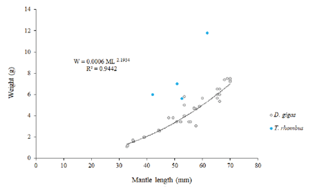 mediumimage/graellsia-79-2-e199-image2.png