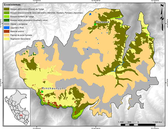 mediumimage/graellsia-79-2-e204-image1.png
