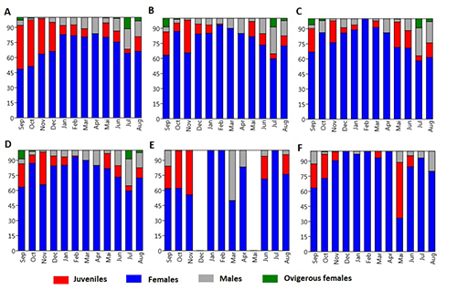 Gráficos de barras apiladas que muestran la proporción mensual de juveniles, hembras, machos y hembras ovígeras en diferentes grupos o categorías a lo largo de un año.

Descripción generada con IA