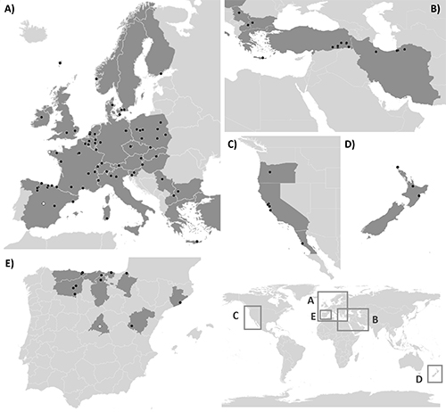 Mapa mundial con cinco recuadros que amplían regiones específicas de Europa, Medio Oriente, América del Norte, Nueva Zelanda y España, mostrando puntos marcados en cada área.

Descripción generada con IA